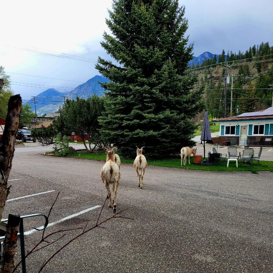 Lido Motel Radium Hot Springs Esterno foto