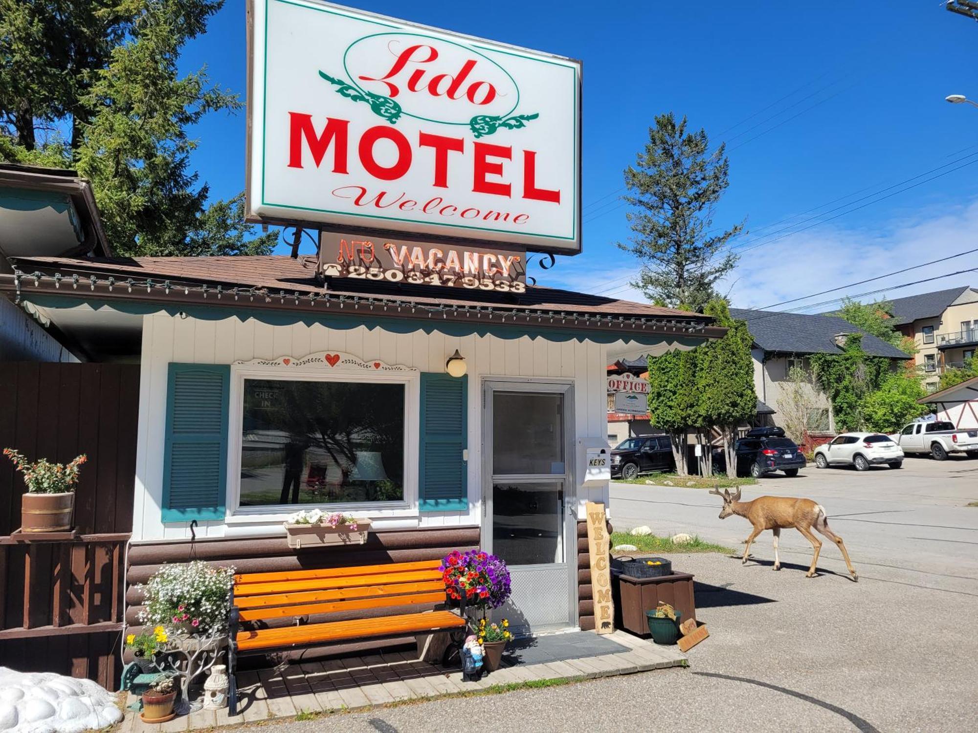 Lido Motel Radium Hot Springs Esterno foto
