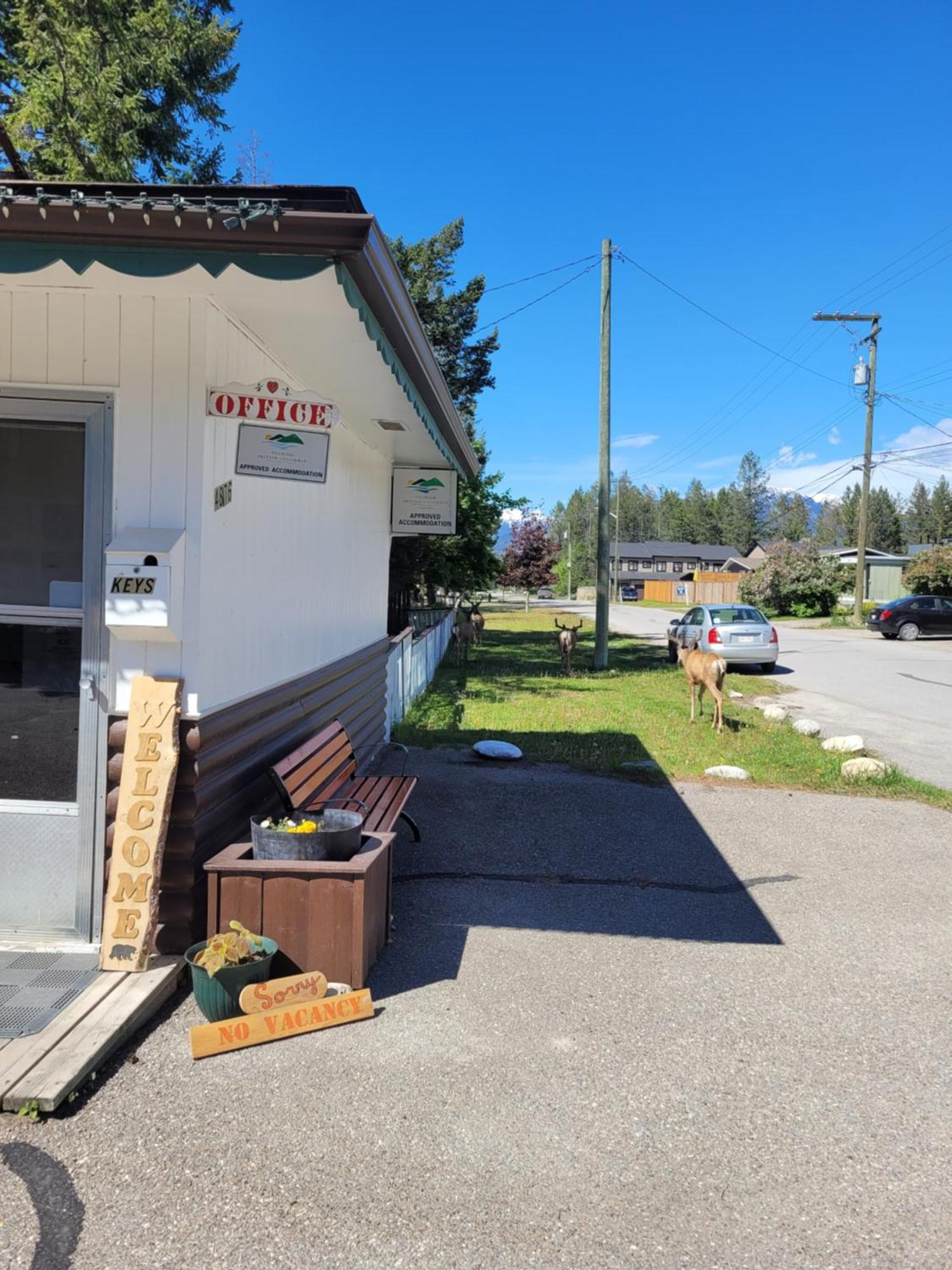 Lido Motel Radium Hot Springs Esterno foto